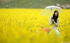 羞羞漫画官方登录页面免费漫画弹窗在线阅读